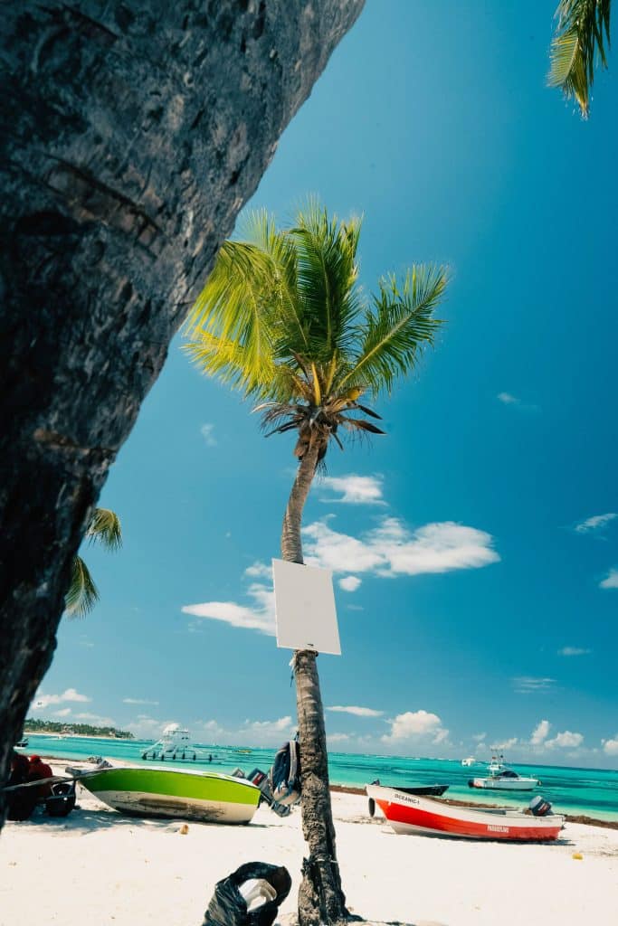 lanchas-palmera-playa