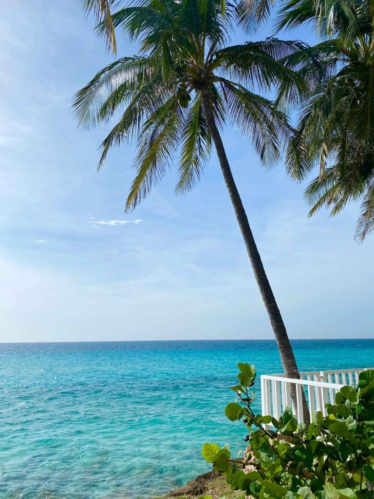 palmera-playa-varadero