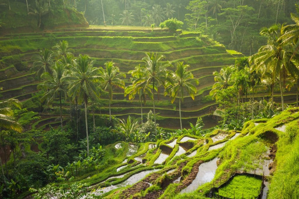 Bali, Indonesia